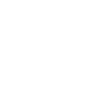 White silhouette of a car representing vehicle donation.